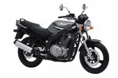 2006 Suzuki GS 500 photo